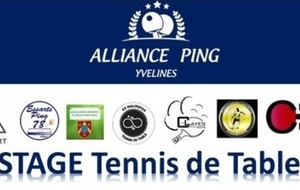 Stage Intensif ALLIANCE PING d'Automne 2023