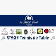 Stage Intensif ALLIANCE PING d'Automne 2023